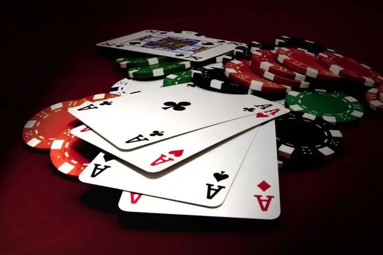 mammoth88